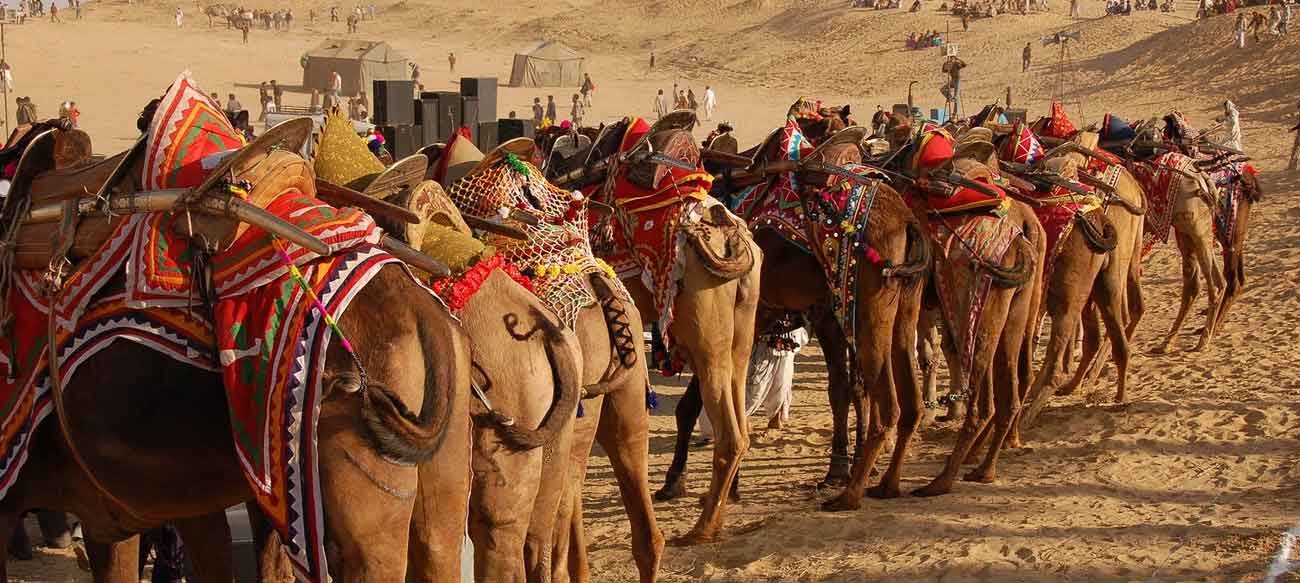 Bikaner Camel Festival